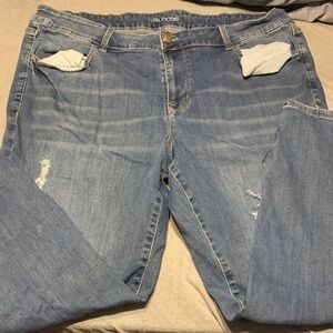 Maurices Light Blue Distressed Jeans